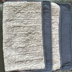 Pair of Restoration Hardware baby and child quilted shams w/ dinosaur names.